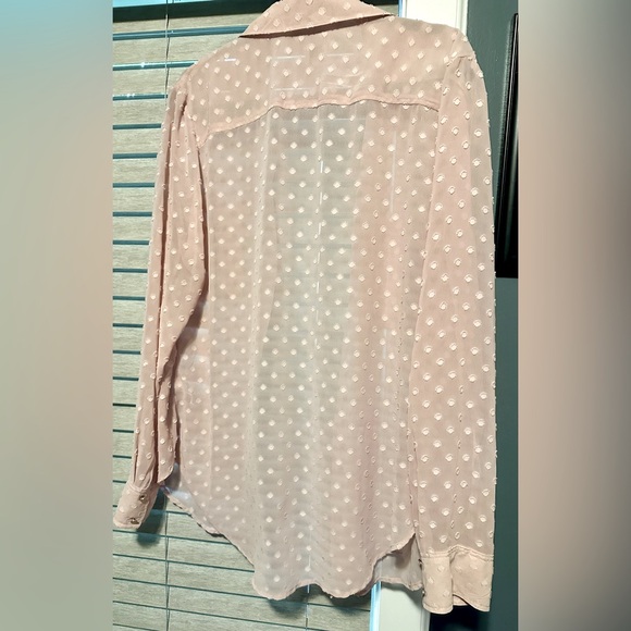 A New Day Sheer Blush Polka Dot Button Up Blouse - Picture 2 of 6
